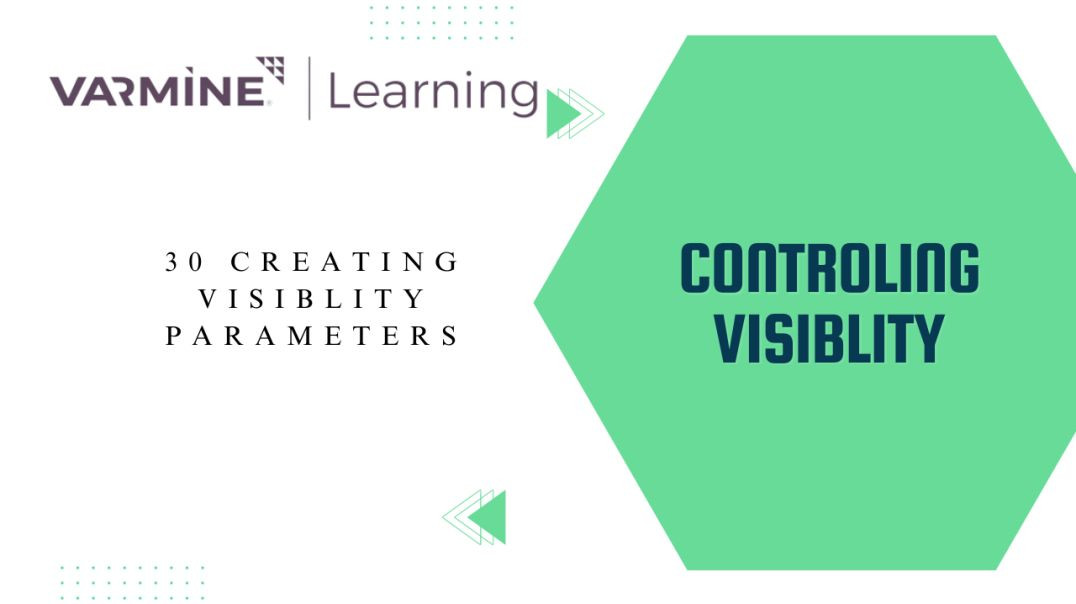 ⁣30 Creating visiblity parameters