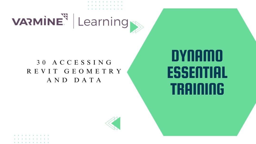 30 Accessing Revit geometry and data